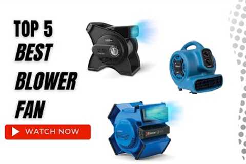 Best Blower Fan On Amazon / Top 5 Product ( Reviewed &amp; Tested )