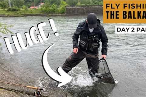 ANOTHER Crazy Day of Fly Fishing in The Balkans (BIG TROUT!)