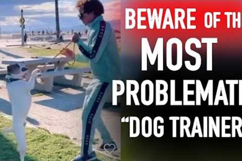 Speaking out Against ￼The Most Problematic Dog Trainer on the Internet