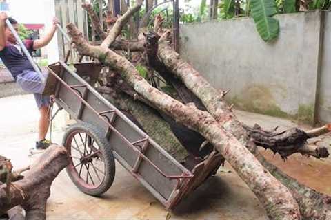 Amazing Breakthrough Woodworking Projects And Skills | Best Hardwood Tree Trunk Recycling Ideas Ever