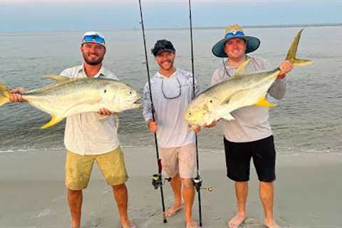 BEACH Fishing For GIANTS {Catch Clean Cook} Fish That Tastes Like BEEF?