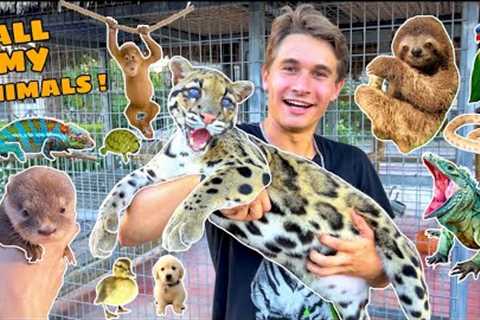 ALL MY EXOTIC ANIMALS IN ONE VIDEO ! FULL ZOO TOUR !