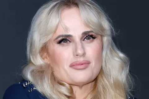 Rebel Wilson Needs Stitches After 'Stunt Accident' Wrapping Filming on Bride Hard