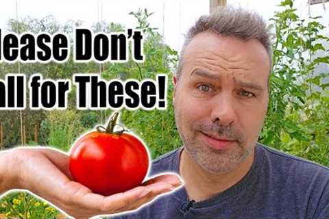 8 Tomato Growing Myths... BUSTED!