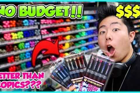 NO BUDGET AT MICHAELS ART STORE SHOPPING SPREE!! (Starving Artist Clears the Store)