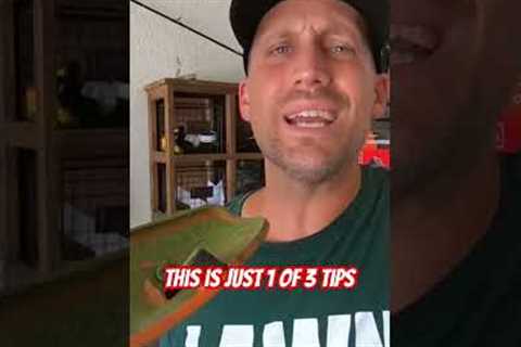 Time &amp; Temper Saver! 🤬👍 #lawncare #youtube #shorts