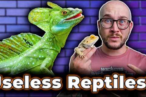 DO NOT GET These 5 Popular Reptiles! Get THESE Reptiles Instead!