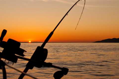 From novice to pro: Transform your fishing skills with a charter adventure