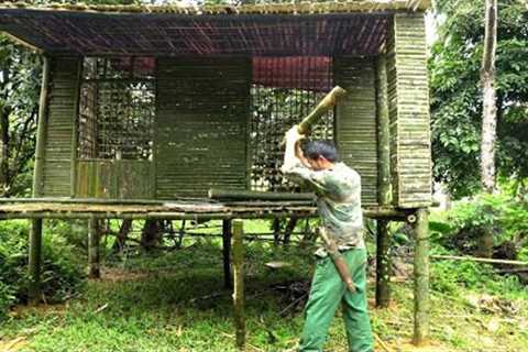 Building bamboo house,Forest Life,Wilderness Alone, Survival Skills Asia