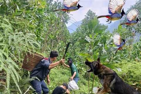 Farm life life skills.save people in danger in the forest