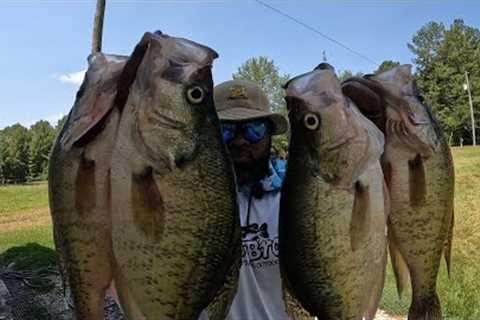 SHOCKING WEIGHT &amp; SIZE IN THE MONTH OF  AUGUST!! CRAPPIE