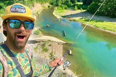 SNAKE BITTEN While Fishing This URBAN MOUNTAIN Creek! This Place Is INSANE!