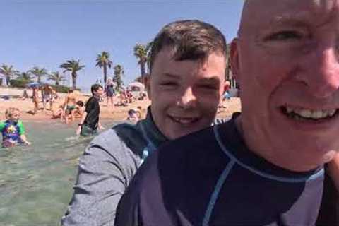 Cruise Review