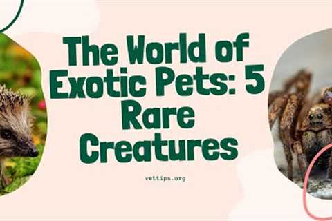 The World of Exotic Pets: 5 Rare Animals
