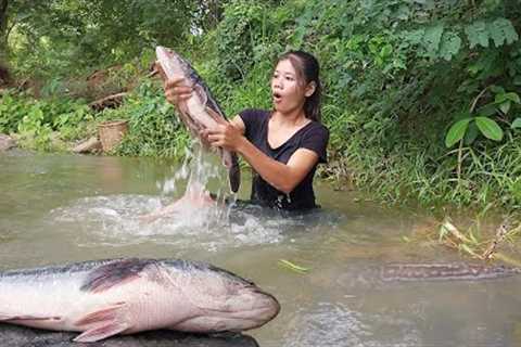 Found catch Biggest fish in river for food - Big fish grilled with Hot chili sauce for survival food