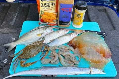 3 Days Eating Whatever We Catch - Jellyfish, Crab, Shrimp n' Fish