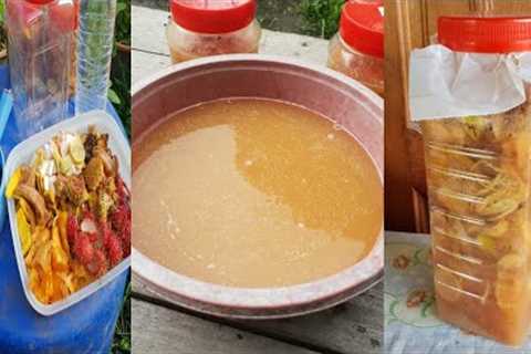 Making liquid fertilizer at home / Eco enzyme liquid fertilizer