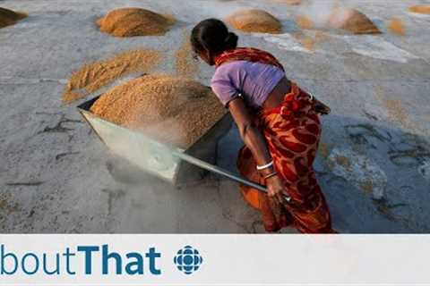 Why India's rice ban could cause a global food crisis | About That
