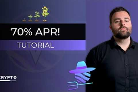 Earning 70% APR with VYFinance - Yield Farming (Tutorial)