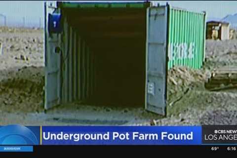 San Bernardino authorities uncover massive illegal, underground marijuana grow operation
