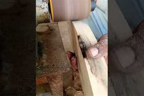 woodworking trick wood finishing #carpentry #diy #viral #woodworker