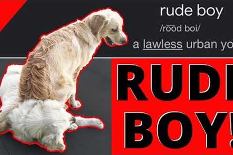 Epic House Call - How Fast Can Joel Turn this “Rude Boy” into a Polite Young Gentleman?
