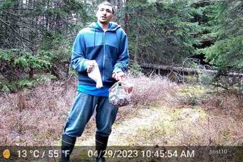 Trail Cameras Captures After 2 Months On Moose Trail