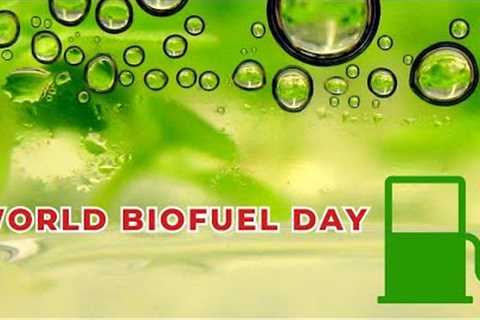 Unveiling the Power of Biofuels | World Biofuel Day Celebration /Today Trending News / Google Trends