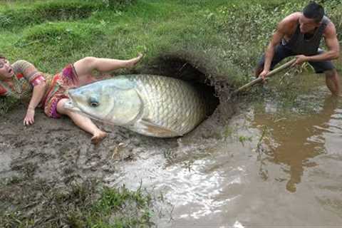 Survival Skills In Primitive: Meet Big Fish In The Hole, Catch Big Fish, Wild Life