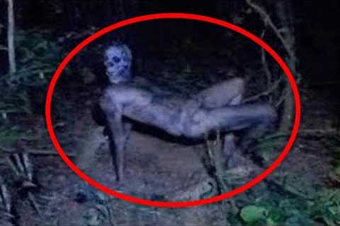 15 Scary Videos Unleashing Pure Frights