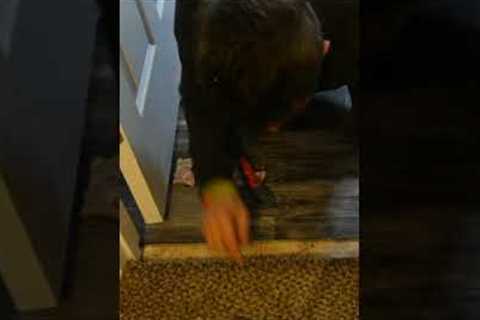 Installing A Transition From LVP To Carpet - Tuck &amp; Roll Method (NO TACK STRIP)