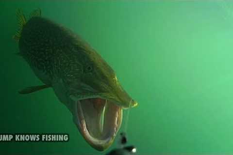 10 Minutes of Underwater Pike Strikes - Water Wolf Underwater Camera