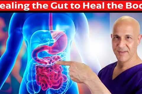 The GUT:  Your Body's Master Healer and Disease Fighter!  Dr. Mandell