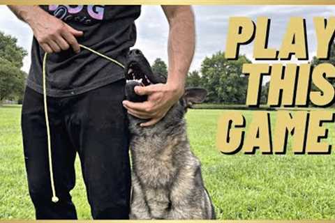 MUST PLAY GAME W/ YOUR DOG! EASY OBEDIENCE FOR A BALL!