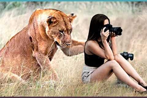 Dangerous Animals Caught Being Friendly !