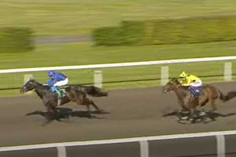 A very nice horse - Frankel colt Measured Time is one to watch | Racing TV