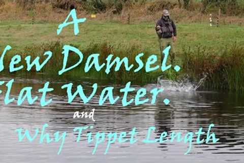 Great Flies for Trout, The Damsel Fly, Learn Fly Fishing.