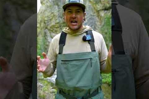 This Could Change Your Life Forever — Start Fly Fishing Today!