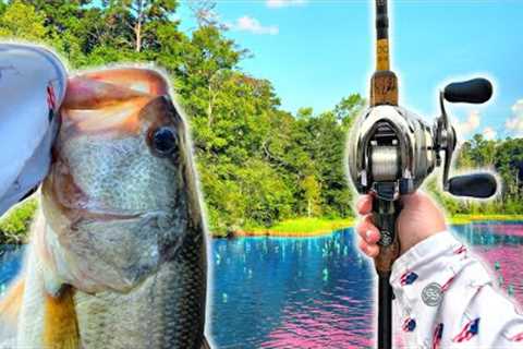 Hunting GIANT Summer Fish On My Favorite Lake (We Found One)