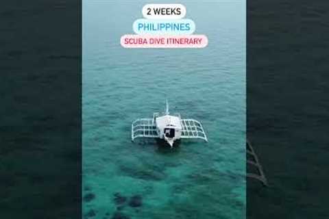 The 2 Weeks Philippines Scuba Diving Itinerary 🇵🇭