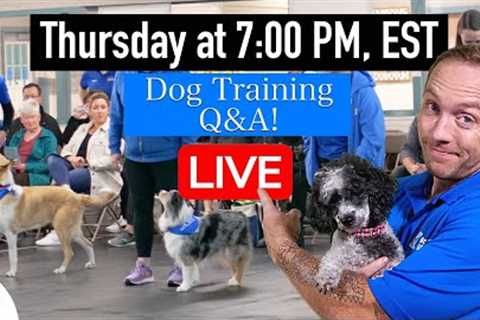 LIVE Dog Training Q&amp;A - From Our First Class!