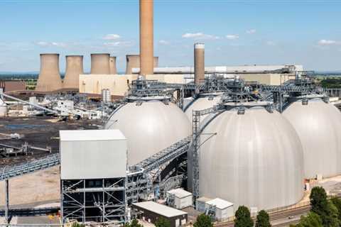 What You Need to Know about Biomass Energy