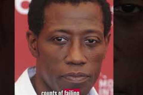 Wesley Snipes was sent to prison for a big mistake