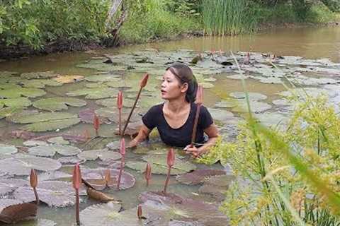 Survival skills: Catch Fish in the lake and Pick water lily- Cooking fish with water lily for dinner