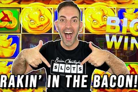 Piggies are RAKIN' in the BACON ⫸ BCSlots at Plaza