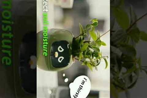 Your Ideal Plant Companion With Emotions || plant gaget🌱