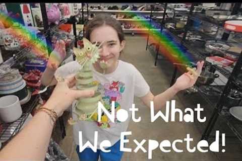 Not What We Expected! - Shop Along With Me - Goodwill Thrift Store