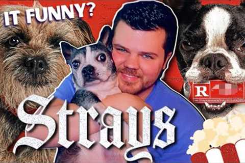 Strays (2023) Movie Review - Funny or Too Silly?