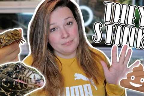 My Top 5 Stinkiest Pet Reptiles!