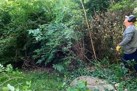 City Property INVADES Homeowner's Backyard Knocking Down Fence